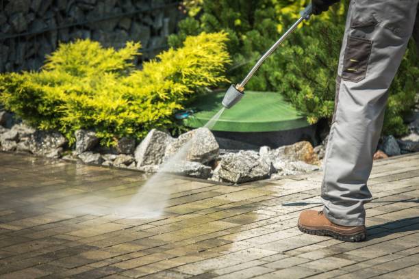 Best Sidewalk and Walkway Cleaning  in Whitewright, TX