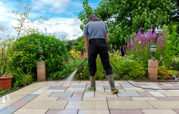 Best Fence Cleaning  in Whitewright, TX